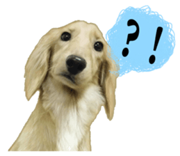 The sausage moves up sticker #14045858