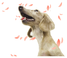 The sausage moves up sticker #14045859