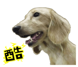 The sausage moves up sticker #14045860