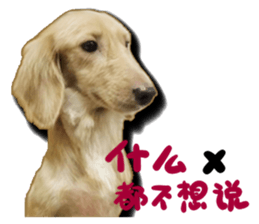 The sausage moves up sticker #14045861