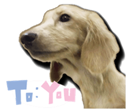 The sausage moves up sticker #14045862