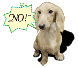 The sausage moves up sticker #14045869