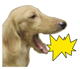 The sausage moves up sticker #14045871