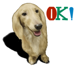 The sausage moves up sticker #14045872