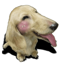 The sausage moves up sticker #14045873