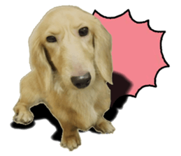 The sausage moves up sticker #14045874