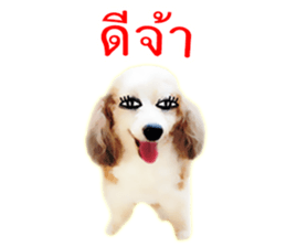 Dog Poodle Brown sticker #14123942
