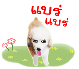 Dog Poodle Brown sticker #14123954