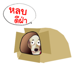 Dog Poodle Brown sticker #14123955