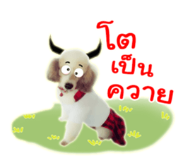 Dog Poodle Brown sticker #14123956