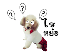 Dog Poodle Brown sticker #14123959