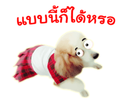 Dog Poodle Brown sticker #14123960