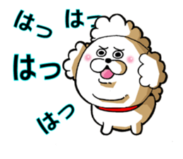 Dog in toy poodle sticker #14228686