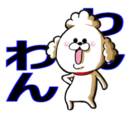 Dog in toy poodle sticker #14228689