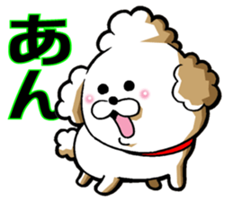 Dog in toy poodle sticker #14228690