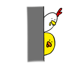 Chicken friends [Piyo and Koko] sticker #14328681