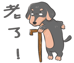 happy dachshund sticker #14331117