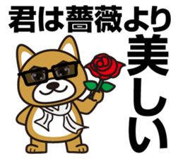 Hello, cool dog sticker #14968984