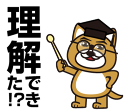 Hello, cool dog sticker #14968997