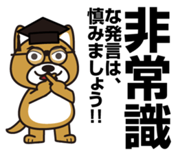 Hello, cool dog sticker #14968998