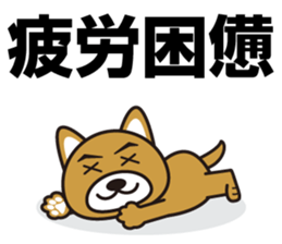 Hello, cool dog sticker #14969018