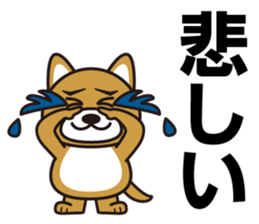 Hello, cool dog sticker #14969019