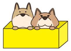 Shibainu TETSU & ANZU everyday sticker #163414