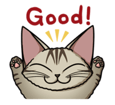 Cats of world sticker #246953