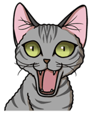 Cats of world sticker #246959