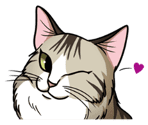 Cats of world sticker #246960