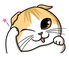 Cats of world sticker #246961