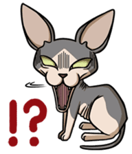 Cats of world sticker #246964