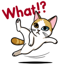 Cats of world sticker #246965