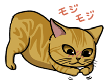 Cats of world sticker #246969