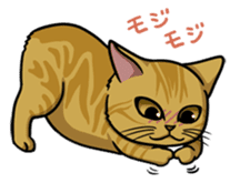Cats of world sticker #246969