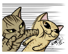 Cats of world sticker #246971