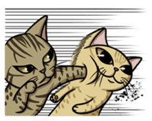 Cats of world sticker #246971