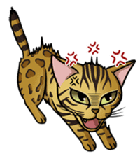 Cats of world sticker #246972