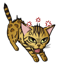 Cats of world sticker #246972