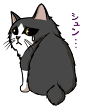 Cats of world sticker #246974