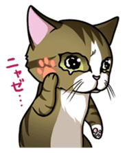 Cats of world sticker #246977