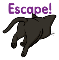 Cats of world sticker #246978