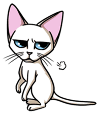 Cats of world sticker #246980