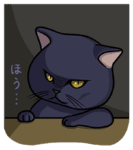 Cats of world sticker #246981