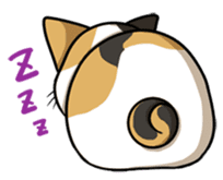 Cats of world sticker #246982