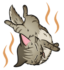 Cats of world sticker #246984