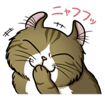 Cats of world sticker #246985