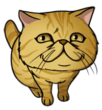 Cats of world sticker #246986