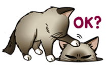 Cats of world sticker #246987