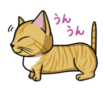 Cats of world sticker #246988